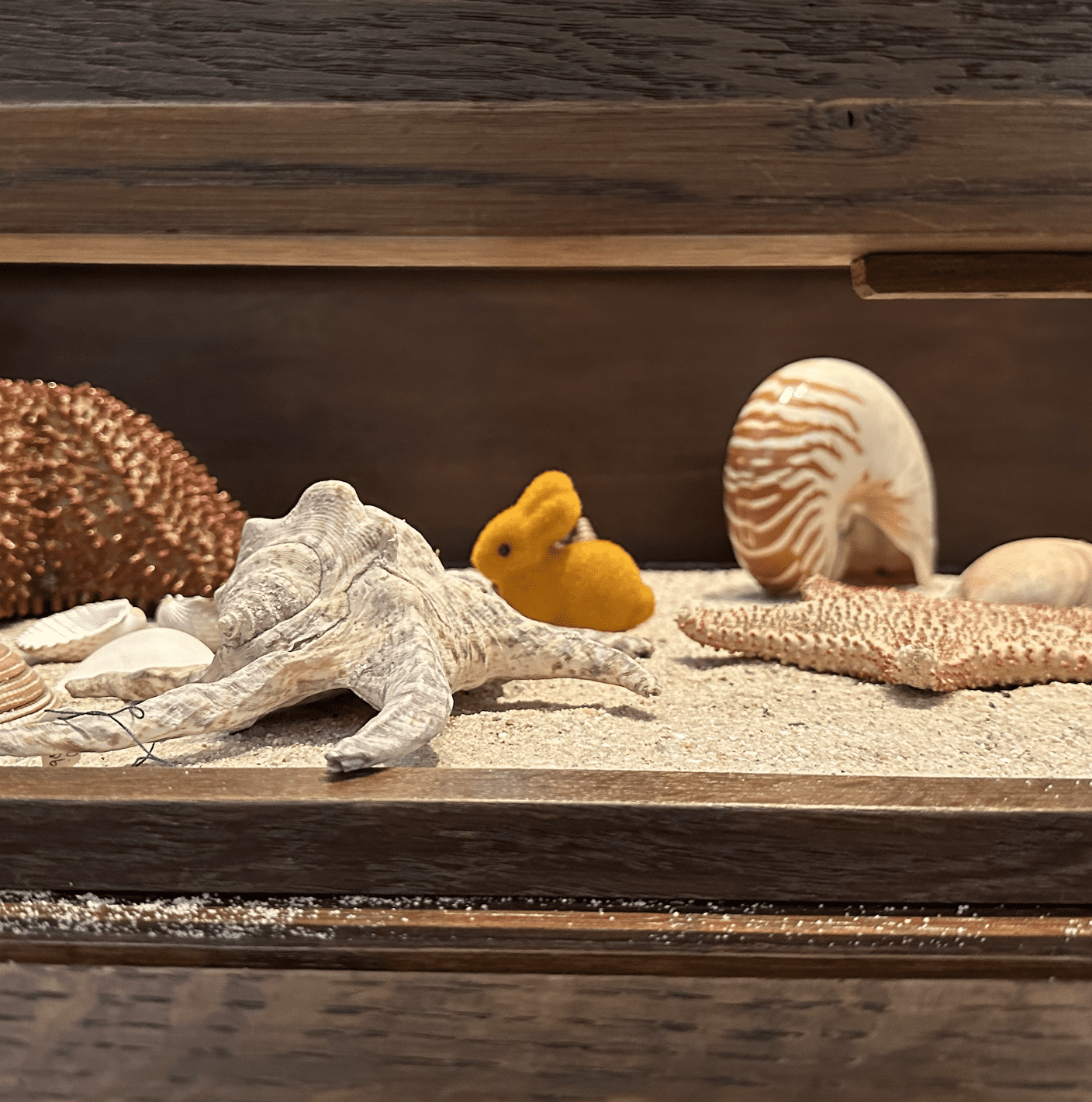 Scherm afbeelding 2026-03-28 om 17.09.46